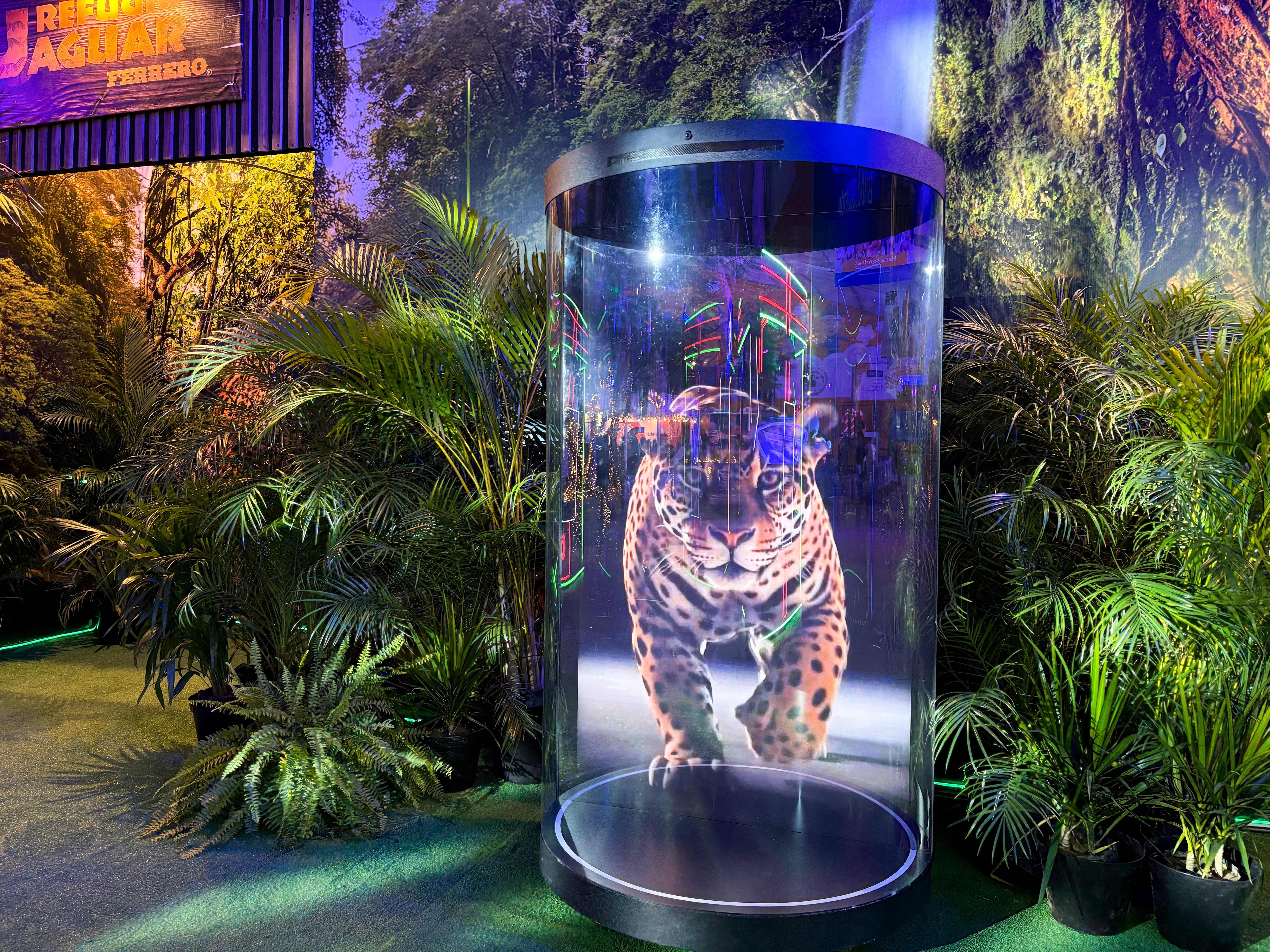 Holotubo tigre pose 2